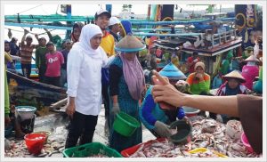 Gubernur Jatim Sambut Baik Rencana Adopsi Teknologi Deteksi Ikan Untuk Nelayan