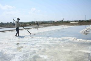 Miris, Luas Lahan Tambak Garam Di Sampang Tersisa 2.800 Hektare