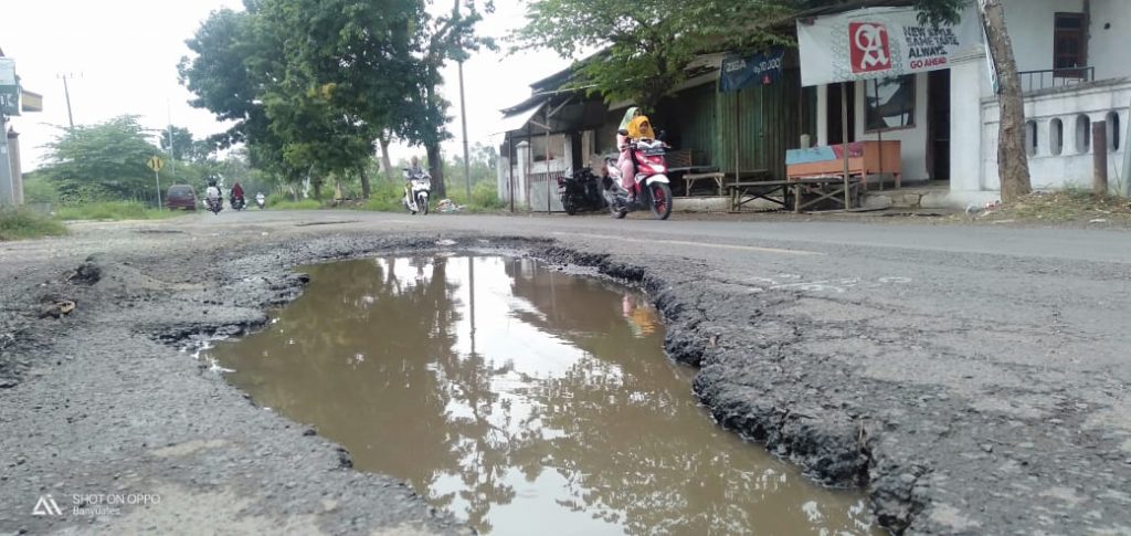 Kesal Jalan Rusak Tak Diperbaiki, Warga Pantura Ancam Tanam Pisang Di Ruas Jalan Nasional