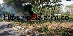 Diduga Sopir Mengantuk, Mobil Alya Tabrak Pohon di Jalan Raya Tangkel Suramadu Hingga Terbakar