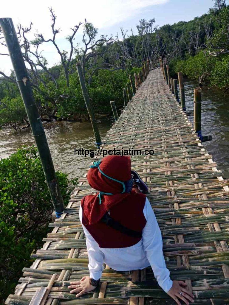 Desa Labuhan Sreseh Kembangkan Wisata Edukasi Hutan Mangrove