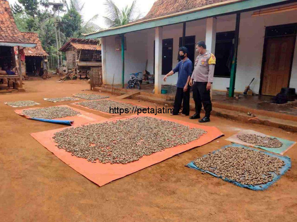 Bantu Desa Binaan, Bripka Sholihin Berhasil Pasarkan Mente 500 kg Dalam 3 Bulan
