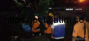 3 Kios Naas Tertimpa Pohon Tumbang di Garuda Kota Sampang