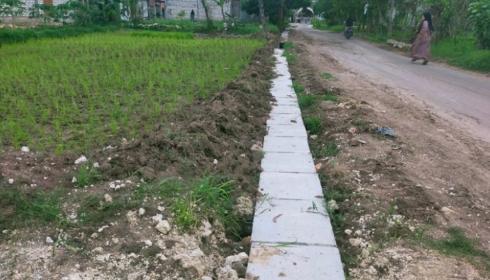 Warga Keluhkan Pekerjaan Saluran U-dith di Sampang, Tanah Galian Ganggu Lahan Pertanian