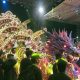 Dongkrak Ekonomi Kerakyatan dengan Festival Parade Musik Daul Combodug